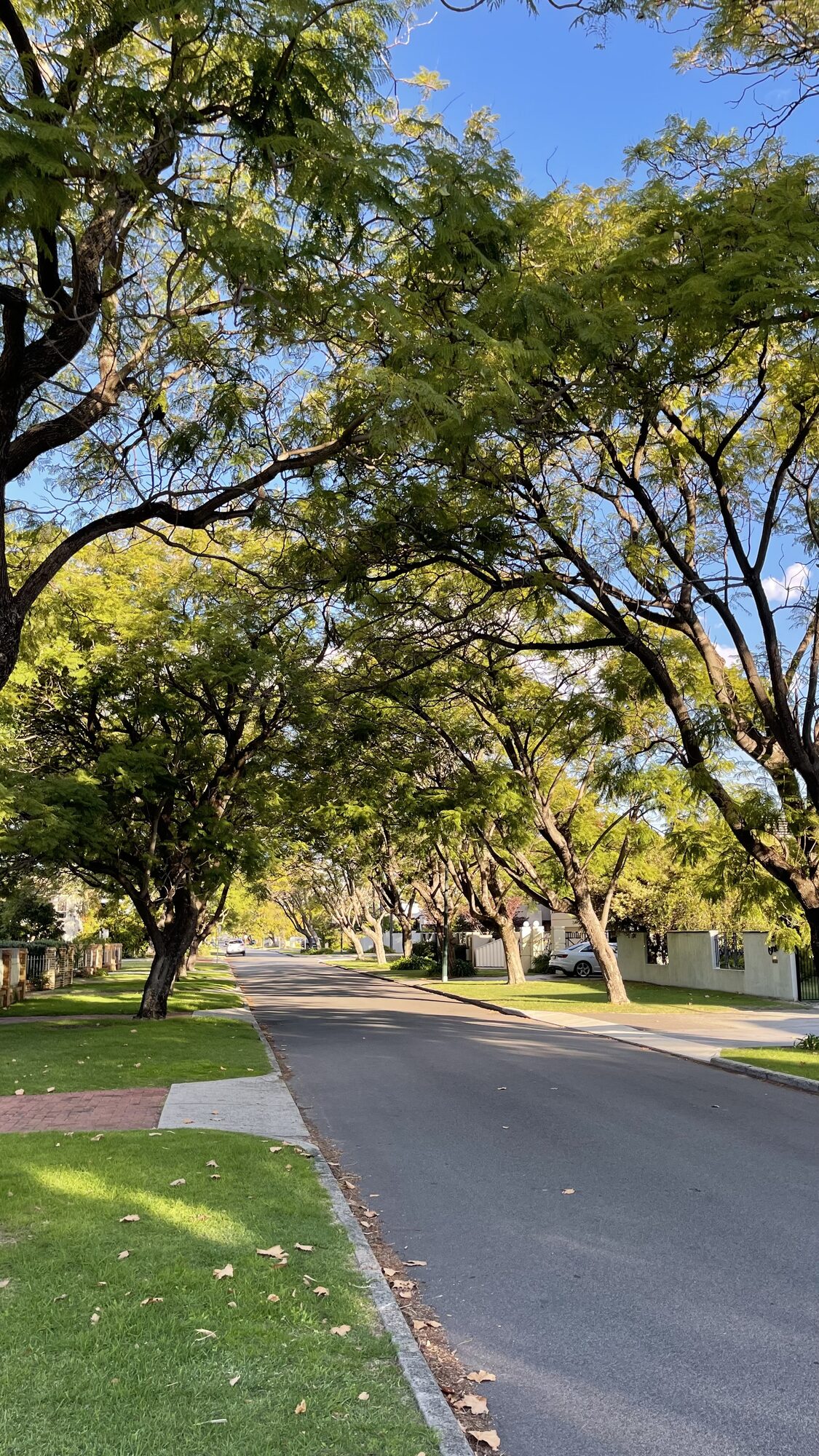 Tree-lined Gairloch Street in Applecross, Perth